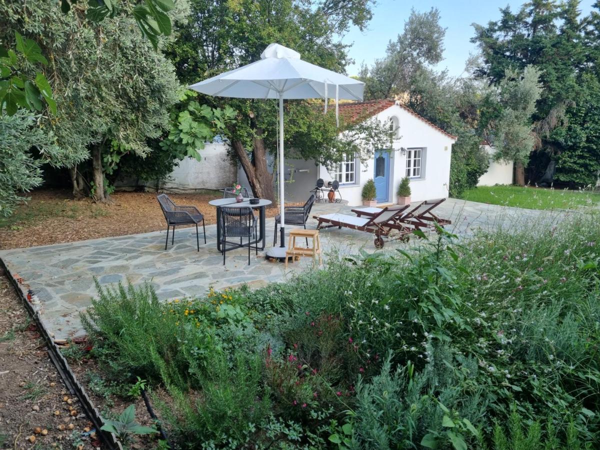Villa Tellina Skiathos Town Bagian luar foto